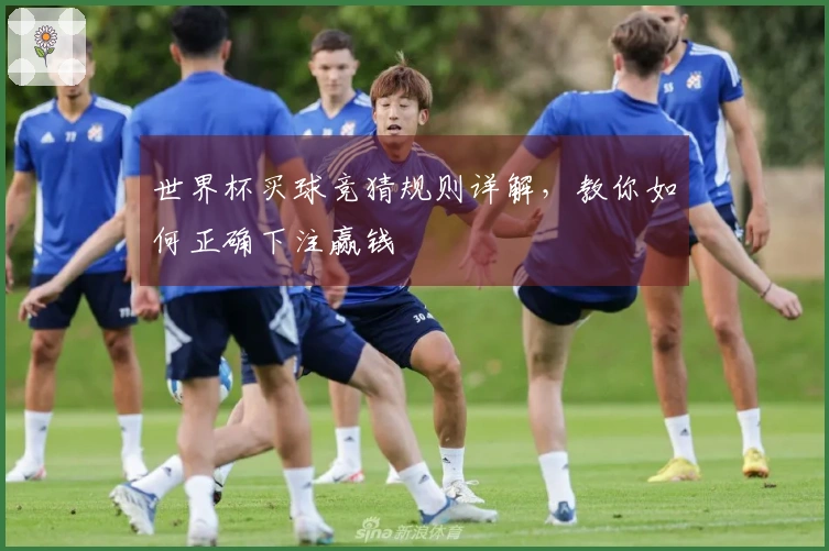 世界杯买球竞猜规则详解，教你如何正确下注赢钱