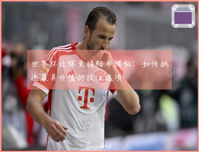 世界杯让球竞猜赔率揭秘：如何挑选最具价值的投注选项