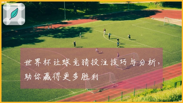 世界杯让球竞猜投注技巧与分析，助你赢得更多胜利