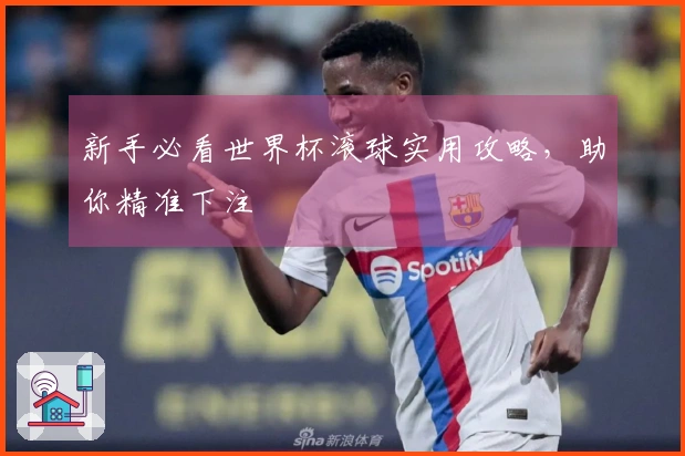 新手必看世界杯滚球实用攻略，助你精准下注