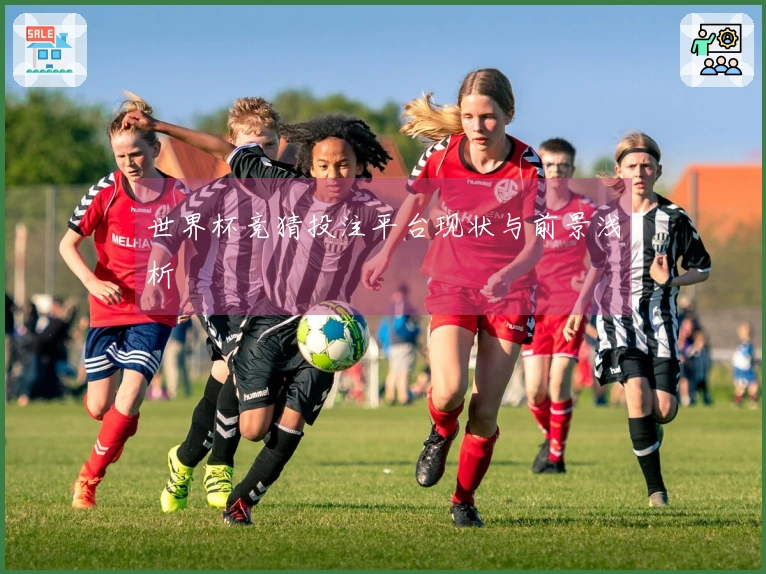 世界杯竞猜投注平台现状与前景浅析