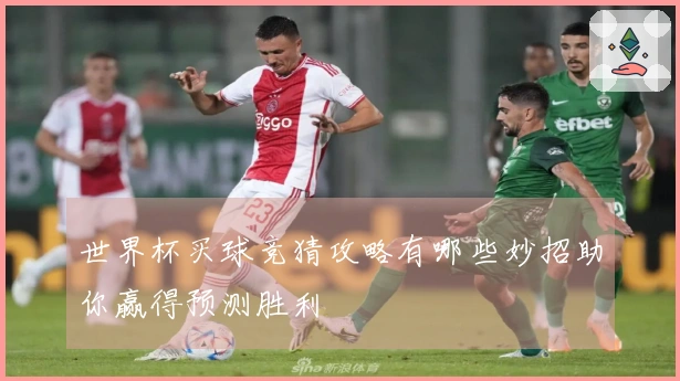 世界杯买球竞猜攻略有哪些妙招助你赢得预测胜利