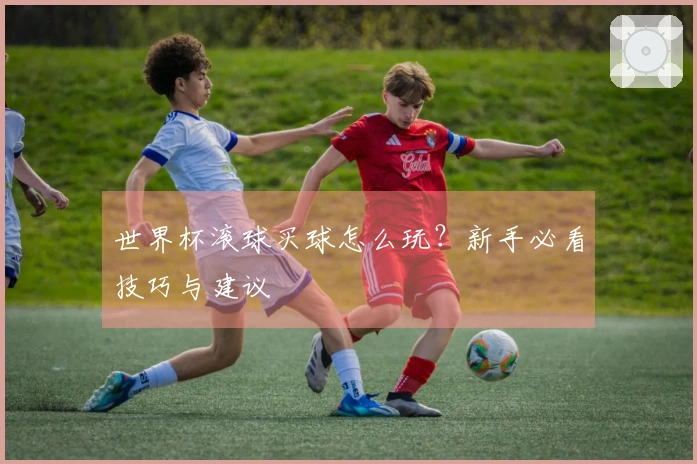 世界杯滚球买球怎么玩？新手必看技巧与建议