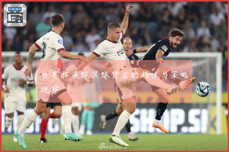 世界杯滚球买球背后的趣味与策略观察