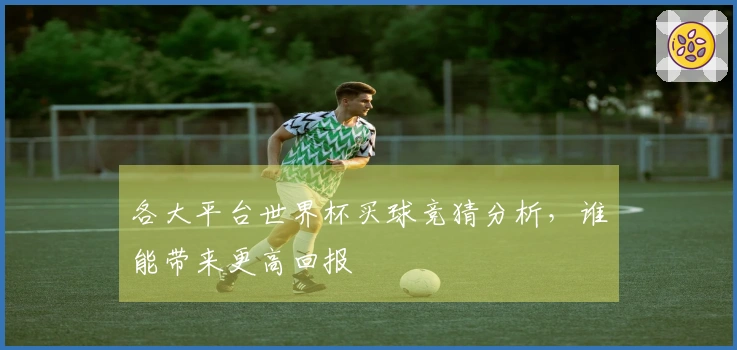 各大平台世界杯买球竞猜分析，谁能带来更高回报