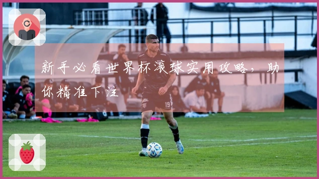 新手必看世界杯滚球实用攻略，助你精准下注