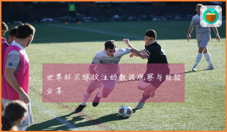 世界杯买球投注的数据观察与经验分享