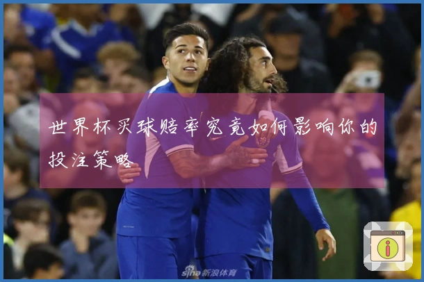 世界杯买球赔率究竟如何影响你的投注策略