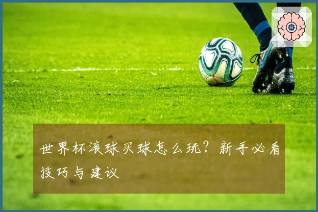 世界杯滚球买球怎么玩？新手必看技巧与建议