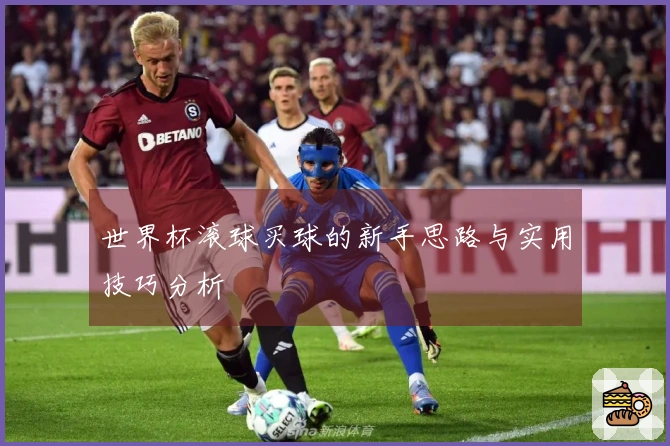 世界杯滚球买球的新手思路与实用技巧分析